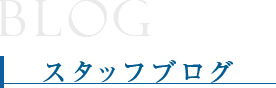 スタッフブログ blog